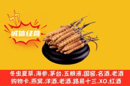 南京回收冬虫夏草